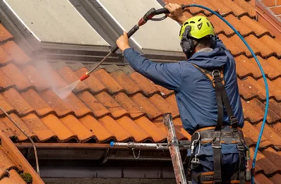Démoussage et hydrofuge de toiture aux Moussières